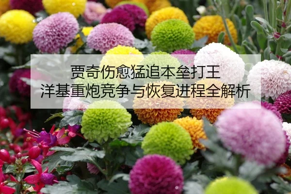 贾奇伤愈猛追本垒打王 洋基重炮竞争与恢复进程全解析