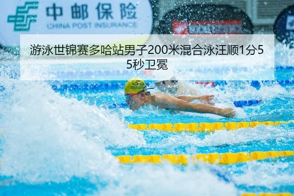 游泳世锦赛多哈站男子200米混合泳汪顺1分55秒卫冕